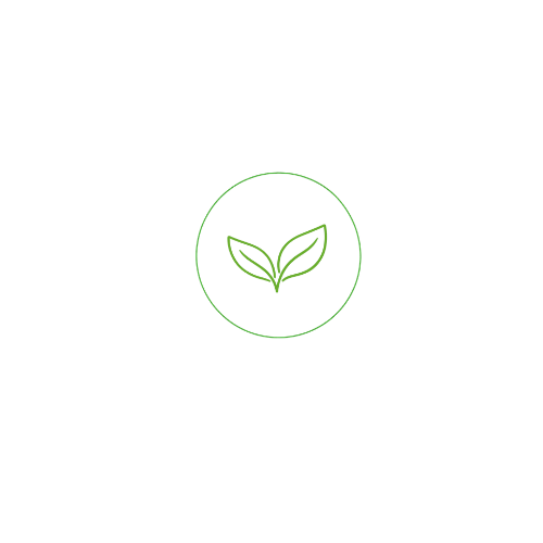 vegan leaves petit logo